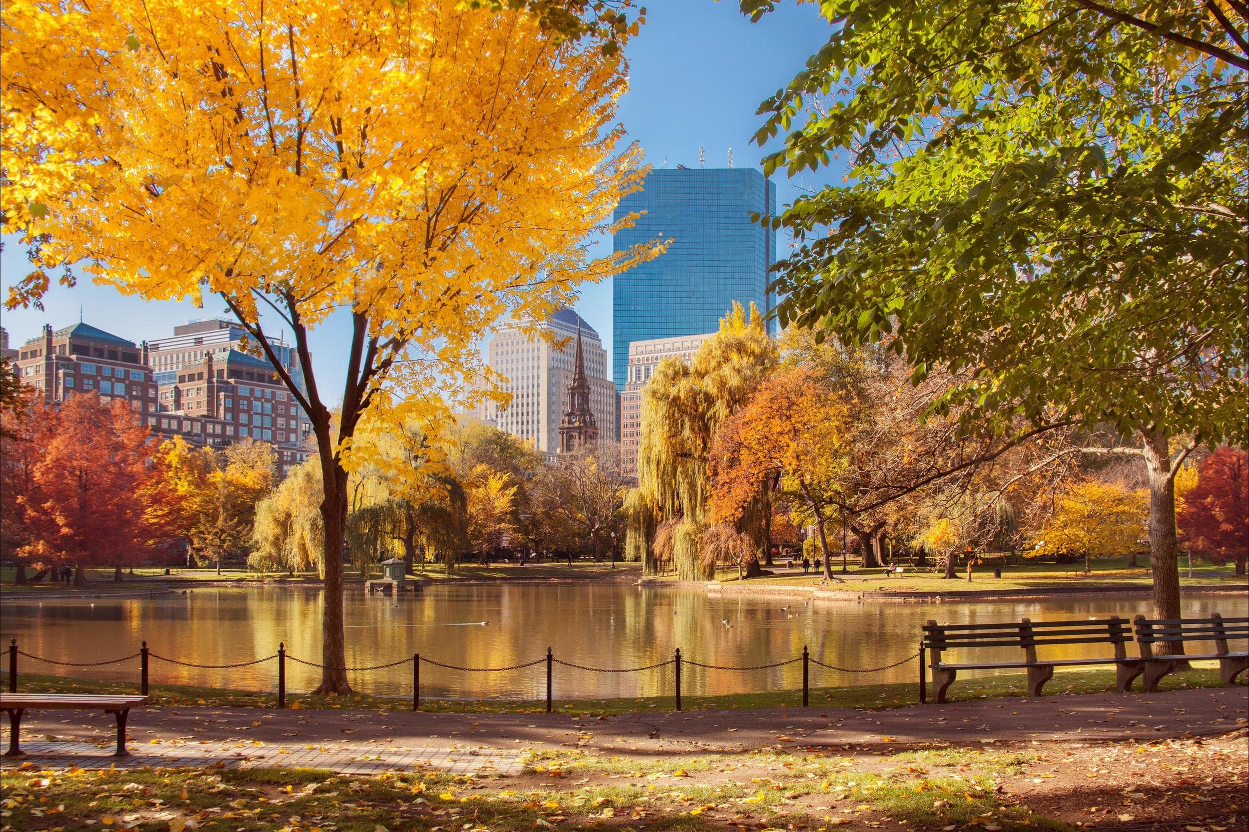 The Best Boston Parks to Visit After Your Move